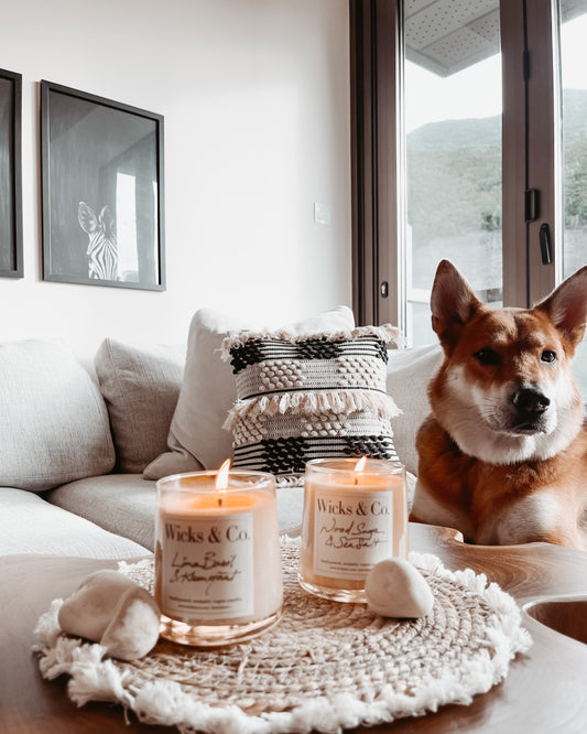 Creating a Safe and Soothing Home: Discover Wicks & Co.'s Pet and Child-Friendly Candles